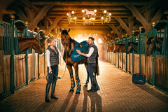 BEMER-Horse-Set-Komplettansicht