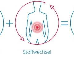 FLorian-Hoffmann-Heilpraktiker-Gesund-Aktiv
