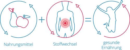 Florian Hoffmann Heilpraktiker Gesund Aktiv Stoffwechselprogramm